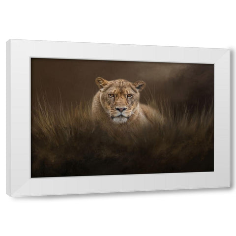 Hiding in the Grass White Modern Wood Framed Art Print by Parker, Kelley