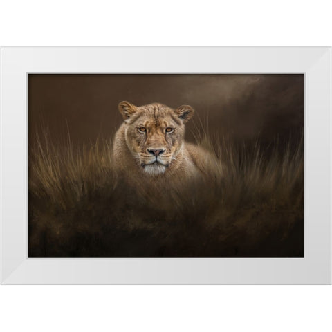 Hiding in the Grass White Modern Wood Framed Art Print by Parker, Kelley