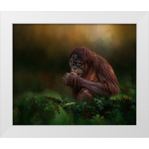 Little Man White Modern Wood Framed Art Print by Parker, Kelley