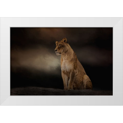 Evening Sentinel White Modern Wood Framed Art Print by Parker, Kelley