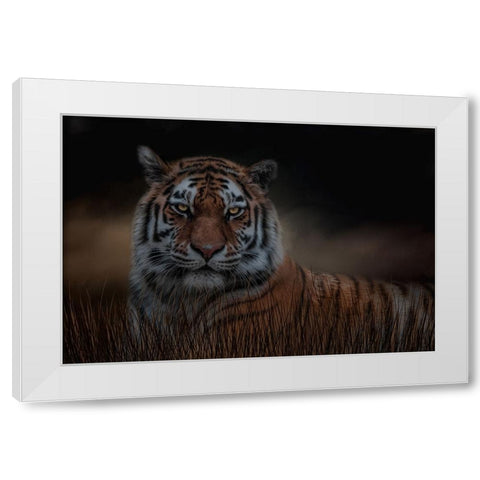 Alone in the Night White Modern Wood Framed Art Print by Parker, Kelley