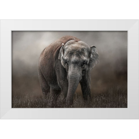 Power and Grace White Modern Wood Framed Art Print by Parker, Kelley