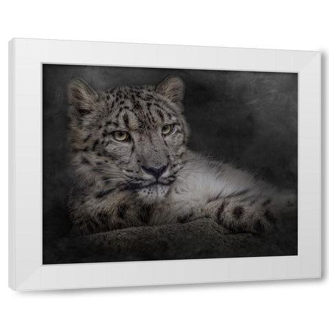 Lurking in the Shadows White Modern Wood Framed Art Print by Parker, Kelley