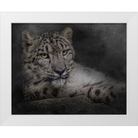 Lurking in the Shadows White Modern Wood Framed Art Print by Parker, Kelley