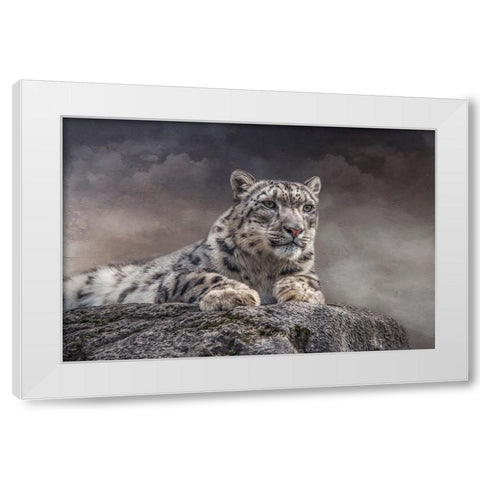 Spotted Beauty White Modern Wood Framed Art Print by Parker, Kelley