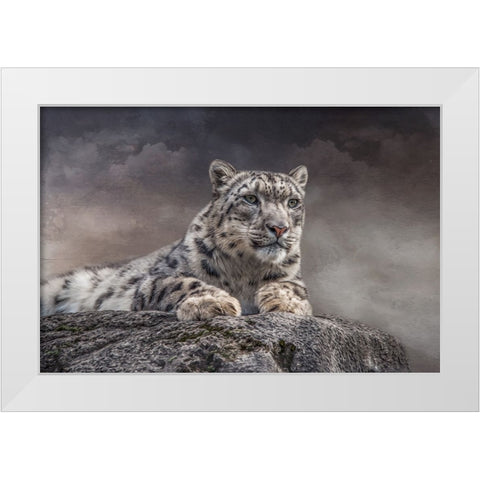 Spotted Beauty White Modern Wood Framed Art Print by Parker, Kelley