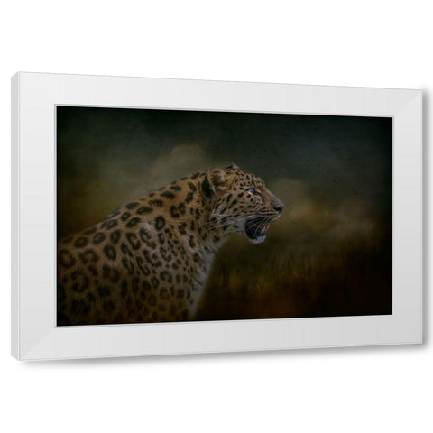 Watchful Waiting White Modern Wood Framed Art Print by Parker, Kelley