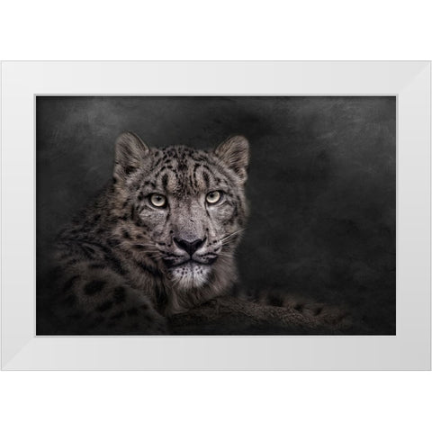 Piercing the Darkness White Modern Wood Framed Art Print by Parker, Kelley
