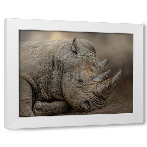 Resting Giant White Modern Wood Framed Art Print by Parker, Kelley