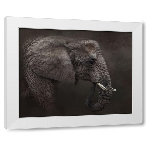 Ancient Wisdom White Modern Wood Framed Art Print by Parker, Kelley