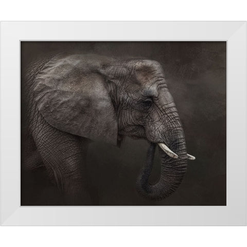 Ancient Wisdom White Modern Wood Framed Art Print by Parker, Kelley