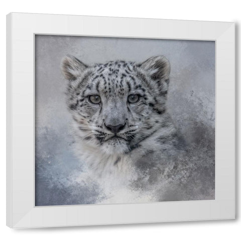 Snow Baby White Modern Wood Framed Art Print by Parker, Kelley