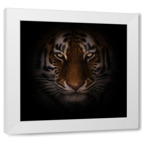Eyes of Warning White Modern Wood Framed Art Print by Parker, Kelley