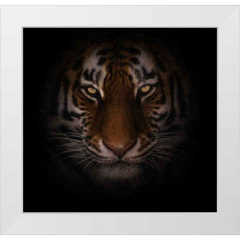 Eyes of Warning White Modern Wood Framed Art Print by Parker, Kelley