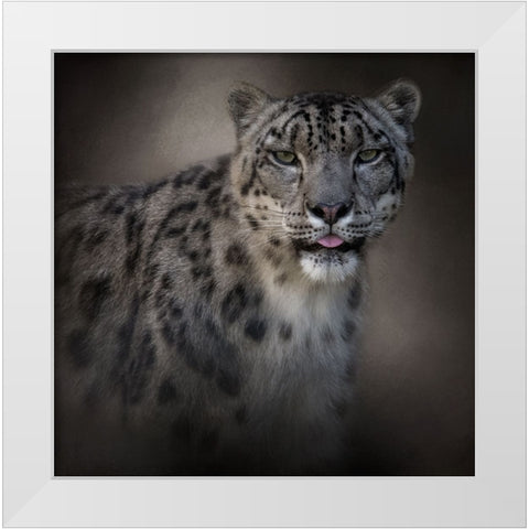 Himalayan Queen White Modern Wood Framed Art Print by Parker, Kelley