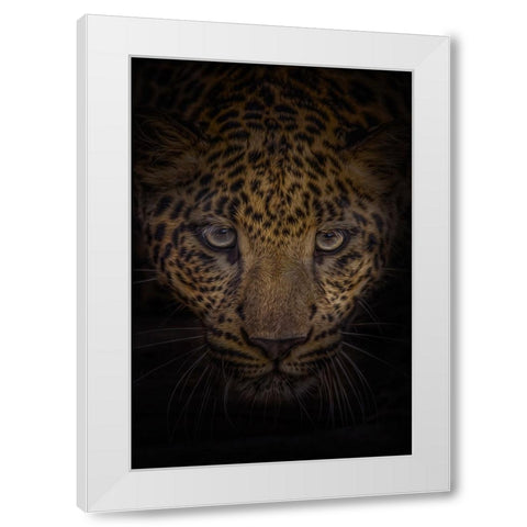 No Fear White Modern Wood Framed Art Print by Parker, Kelley