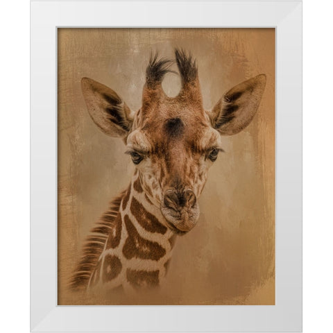 Gentle Giant White Modern Wood Framed Art Print by Parker, Kelley