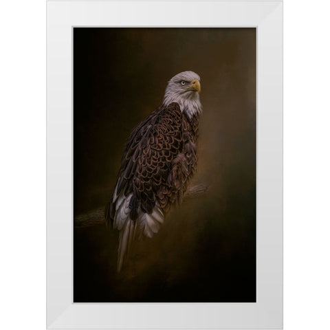 Freedom Flyer White Modern Wood Framed Art Print by Parker, Kelley