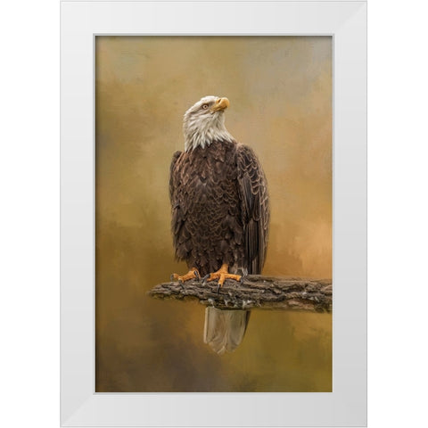 Peace Seeker White Modern Wood Framed Art Print by Parker, Kelley