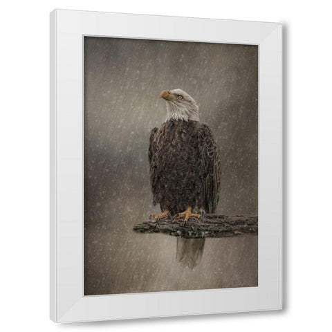 Eye on the Storm White Modern Wood Framed Art Print by Parker, Kelley
