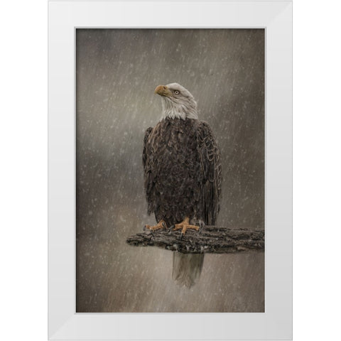 Eye on the Storm White Modern Wood Framed Art Print by Parker, Kelley