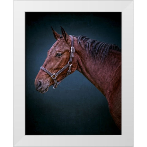 Wild Soul White Modern Wood Framed Art Print by Parker, Kelley