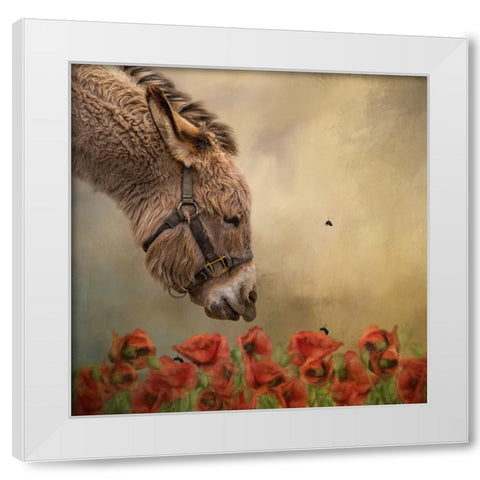 Stop and Smell the Flowers White Modern Wood Framed Art Print by Parker, Kelley
