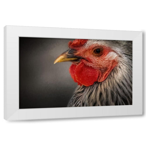 Early Riser White Modern Wood Framed Art Print by Parker, Kelley