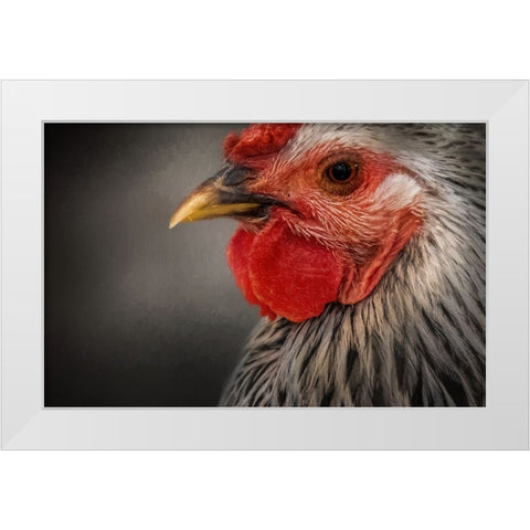 Early Riser White Modern Wood Framed Art Print by Parker, Kelley