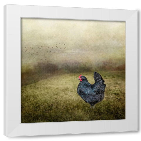 Early Morning Riser White Modern Wood Framed Art Print by Parker, Kelley