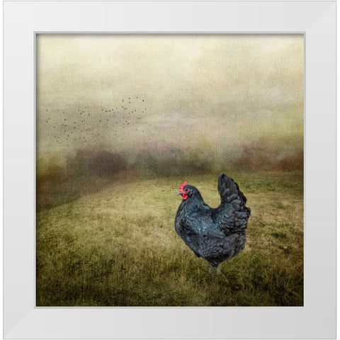 Early Morning Riser White Modern Wood Framed Art Print by Parker, Kelley