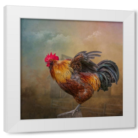 Barny and Boss White Modern Wood Framed Art Print by Parker, Kelley