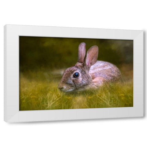 Grassy Bed White Modern Wood Framed Art Print by Parker, Kelley