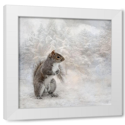 Braving the Cold White Modern Wood Framed Art Print by Parker, Kelley