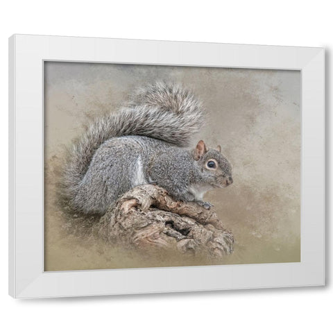 The Collector White Modern Wood Framed Art Print by Parker, Kelley