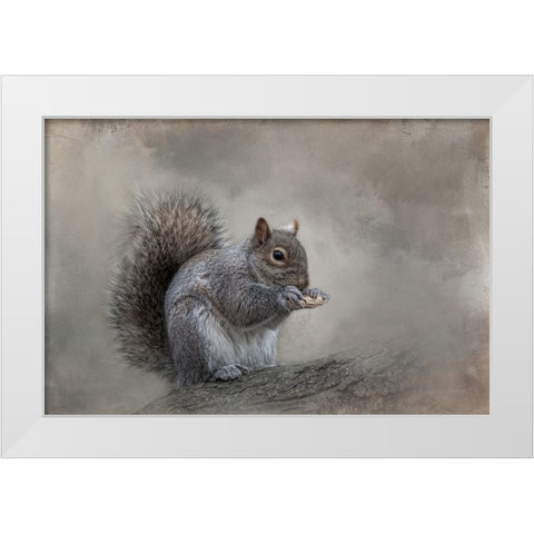 Winter Nibbles White Modern Wood Framed Art Print by Parker, Kelley