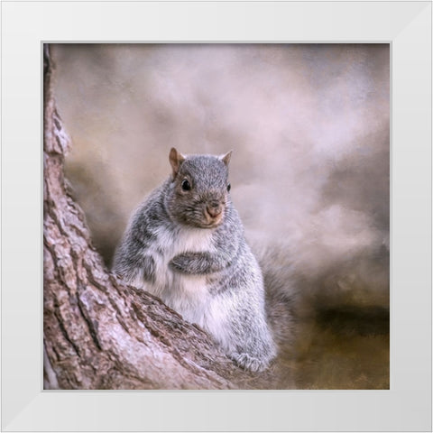Looking Innocent White Modern Wood Framed Art Print by Parker, Kelley