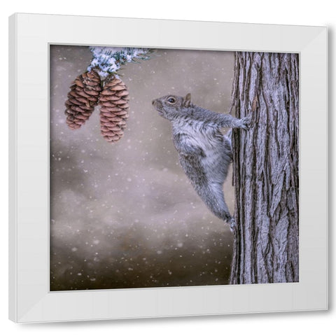 Eye on the Prize White Modern Wood Framed Art Print by Parker, Kelley