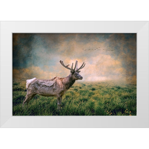 The Lone Leader White Modern Wood Framed Art Print by Parker, Kelley