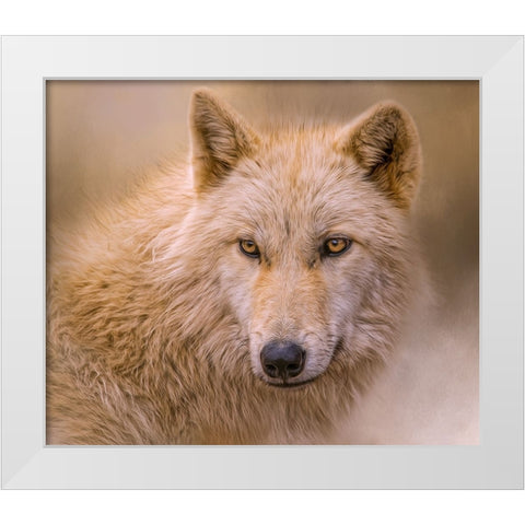 Clever Eyes White Modern Wood Framed Art Print by Parker, Kelley