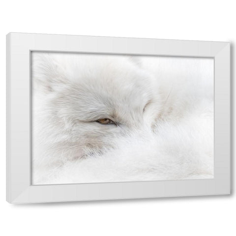 White on White White Modern Wood Framed Art Print by Parker, Kelley