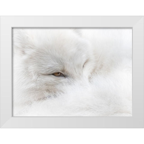 White on White White Modern Wood Framed Art Print by Parker, Kelley