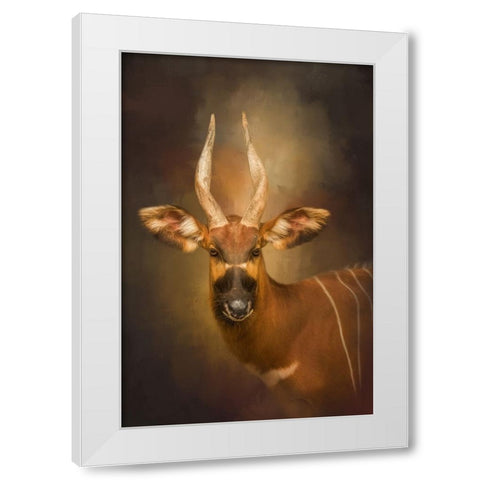 The Wild Star White Modern Wood Framed Art Print by Parker, Kelley