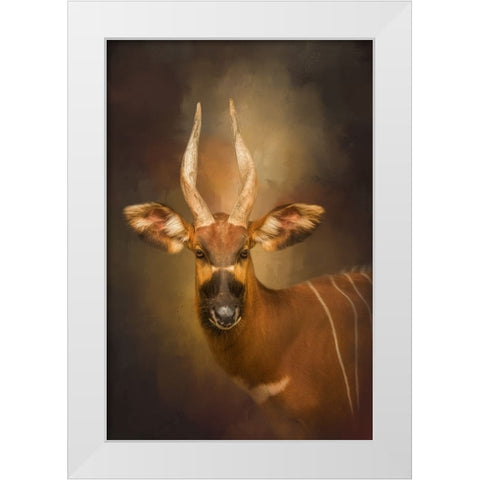 The Wild Star White Modern Wood Framed Art Print by Parker, Kelley