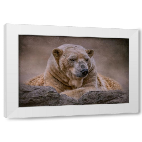 A Bears Life White Modern Wood Framed Art Print by Parker, Kelley