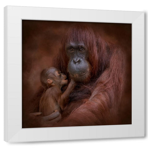 A Mothers Love White Modern Wood Framed Art Print by Parker, Kelley