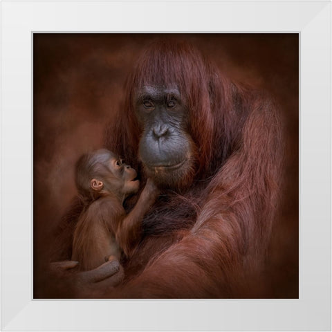 A Mothers Love White Modern Wood Framed Art Print by Parker, Kelley