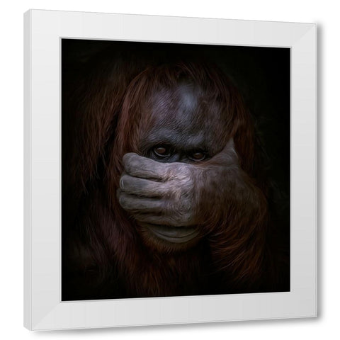 Peek-a-Boo White Modern Wood Framed Art Print by Parker, Kelley