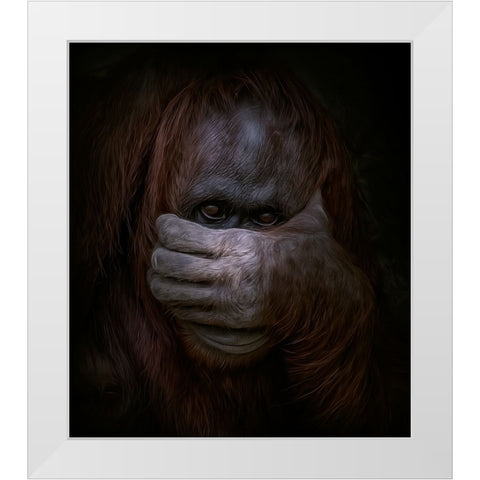 Peek-a-Boo White Modern Wood Framed Art Print by Parker, Kelley