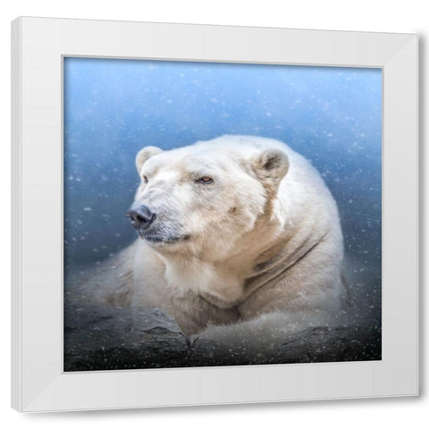 Snow King White Modern Wood Framed Art Print by Parker, Kelley